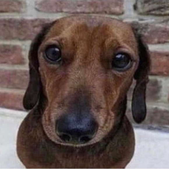 Meet your Posher, Carlos - Picture 1 of 1